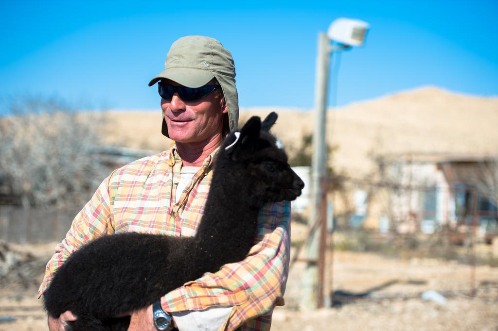 Alpaca Farm - חוות האלפקות Villa Mitzpe Ramon Exterior photo