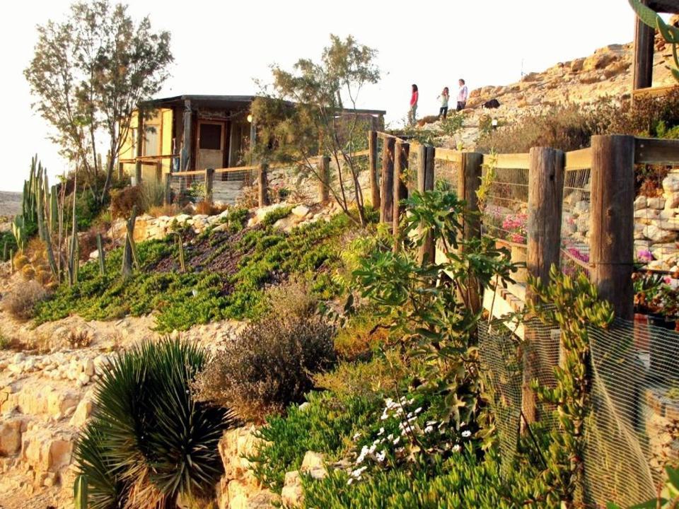 Alpaca Farm - חוות האלפקות Villa Mitzpe Ramon Exterior photo