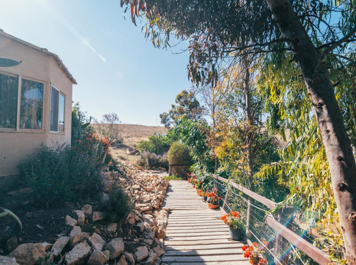 Alpaca Farm - חוות האלפקות Villa Mitzpe Ramon Exterior photo