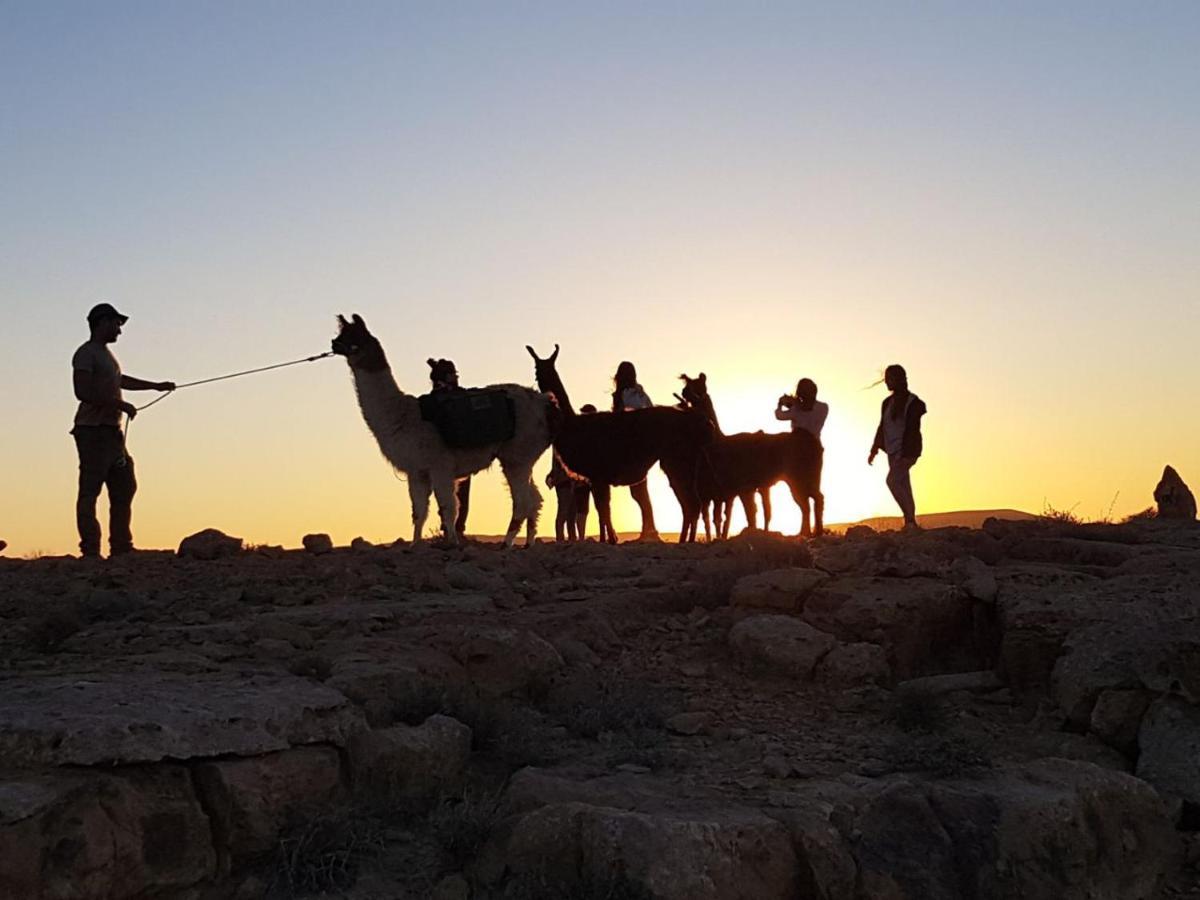 Alpaca Farm - חוות האלפקות Villa Mitzpe Ramon Exterior photo