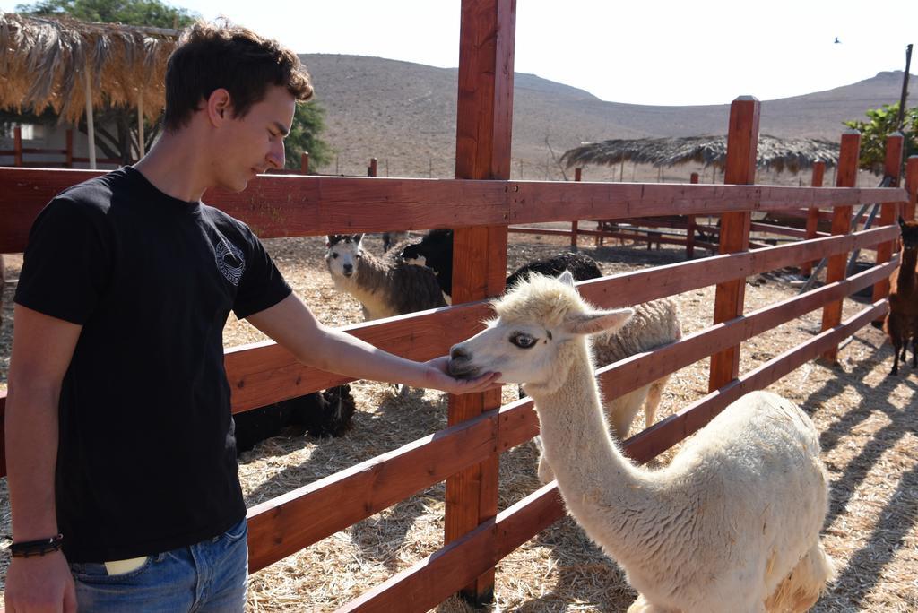 Alpaca Farm - חוות האלפקות Villa Mitzpe Ramon Exterior photo