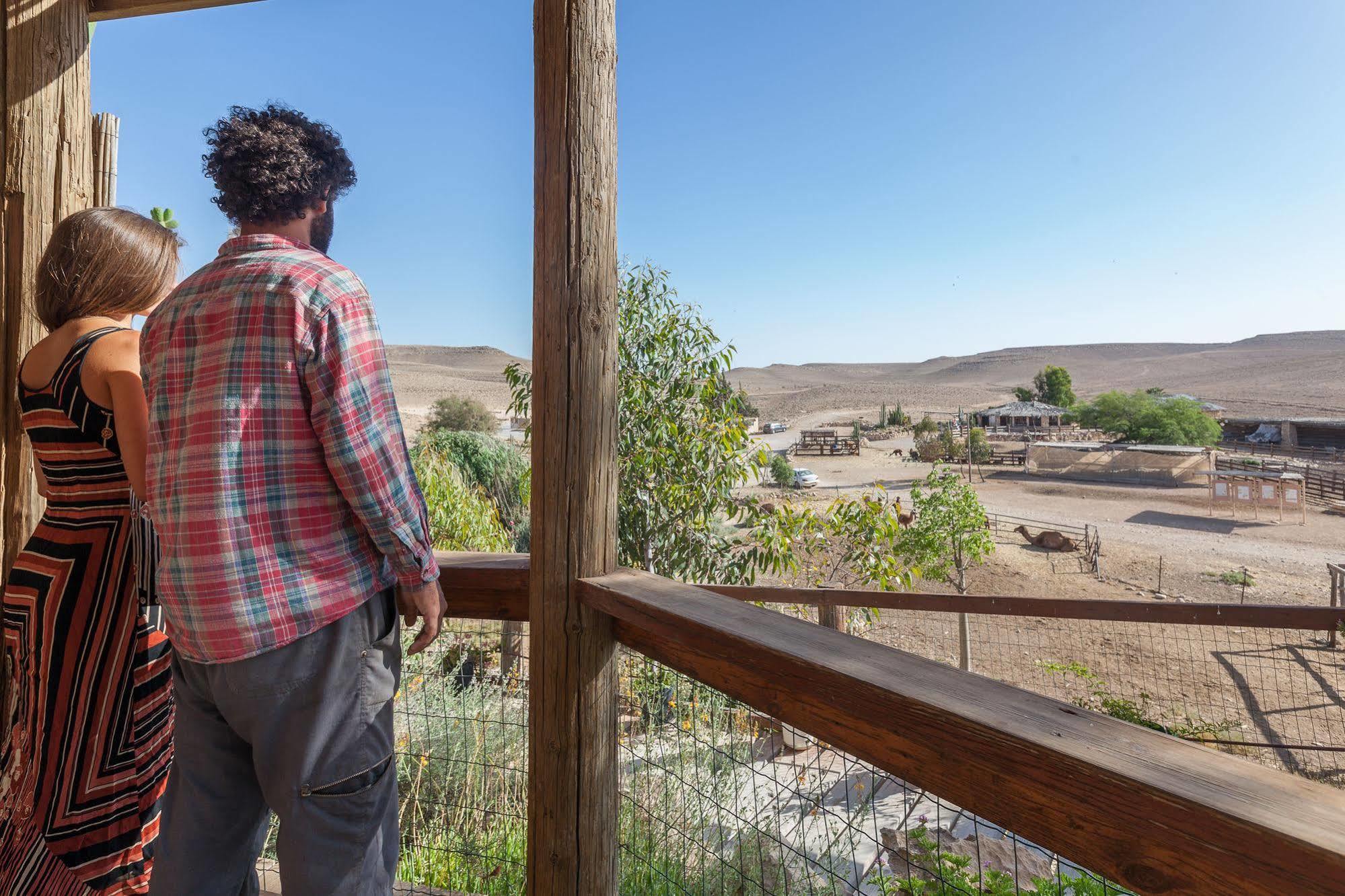 Alpaca Farm - חוות האלפקות Villa Mitzpe Ramon Exterior photo